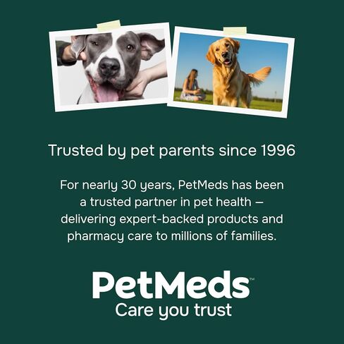 ملحق Petmeds الهادئ للكلاب - القلق والتوتر مع الفيتامينات ، ثيانين وبلسم الليمون - يدعم الكلاب أثناء السفر والرعد والفصل - نكهة البطاطا الحلوة - 60 مضغ ناعم in Kuwait