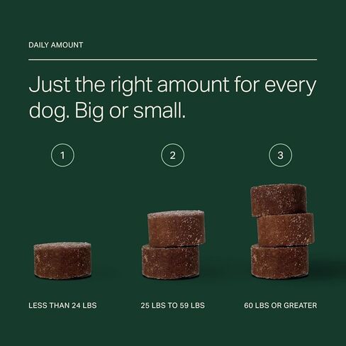 Longevity+ Dog Health Supplement, Cognitive Support, Joint Support, Muscle Support, Immune Support (Large Dog | (60lbs or Greater)) in Kuwait