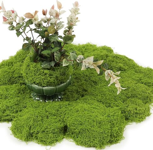 5.3OZ Artificial Faux Moss Fake Green Moss for Crafts Decorative Moss Preserved Moss for Plants Indoor Fairy Garden DIY Decorative Walls Glass Containers Model Making Home (Dark Green) in Saudi Arabia