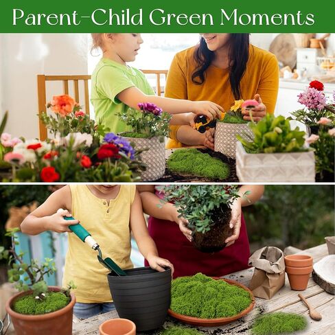 5.3OZ Artificial Faux Moss Fake Green Moss for Crafts Decorative Moss Preserved Moss for Plants Indoor Fairy Garden DIY Decorative Walls Glass Containers Model Making Home (Dark Green) in Saudi Arabia