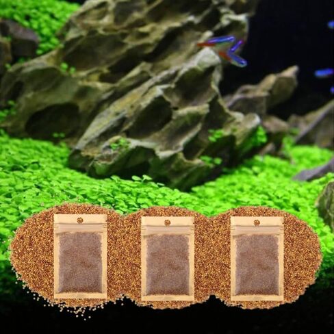 3 Pack Freshwater Aquarium Decor, Easy Growing Dwarf Carpet for Fish Tank/Terrarium, Natural Aquatic Plant Growth Material (Short Hair Grass) in Kuwait