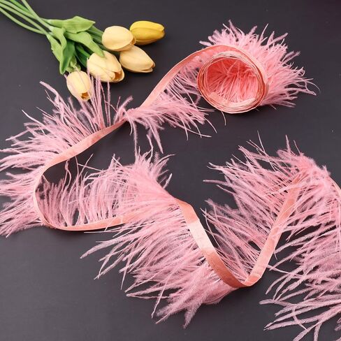 Gxtizas White Speathers Trim 2.5 Yards Fringe Trim Feather for Harps Moding Comple ، وفساتين الزفاف اللاتينية ، وملحقات DIY على خشبة المسرح in Kuwait