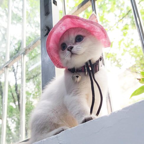 قبعة شمس الحيوانات الأليفة ، حبل حبل قابلة للتعديل قبعة أذن للحيوانات الأليفة للجرى والقطط والكلب الصغيرة والحيوانات الأليفة المماثلة (أسود+أبيض ، S) in Kuwait