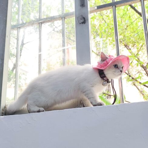 قبعة شمس الحيوانات الأليفة ، حبل حبل قابلة للتعديل قبعة أذن للحيوانات الأليفة للجرى والقطط والكلب الصغيرة والحيوانات الأليفة المماثلة (أسود+أبيض ، S) in Kuwait