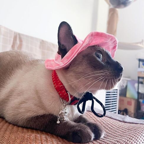 قبعة شمس الحيوانات الأليفة ، حبل حبل قابلة للتعديل قبعة أذن للحيوانات الأليفة للجرى والقطط والكلب الصغيرة والحيوانات الأليفة المماثلة (أسود+أبيض ، S) in Kuwait