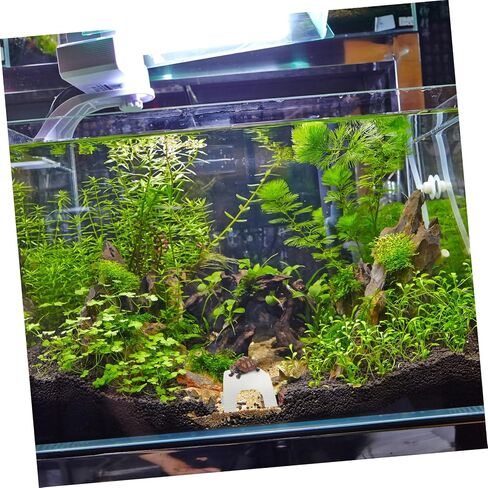 Upkoch Turtle Basking Platform Ramp مقاومة للماء السلحفاة تسلق قفص الاتهام للسلاحف المائية الحجم القابل للتعديل الزواحف راحة تراس لزخرفة خزان الأسماك in Kuwait