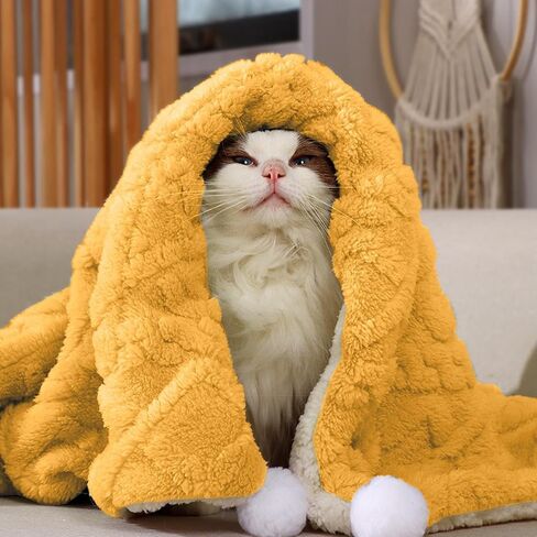 Experience Ultimate with Double-Sided Wool Blanket for Your Furry Companions - for Your Cats and Dogs and Breathable (C) in Saudi Arabia