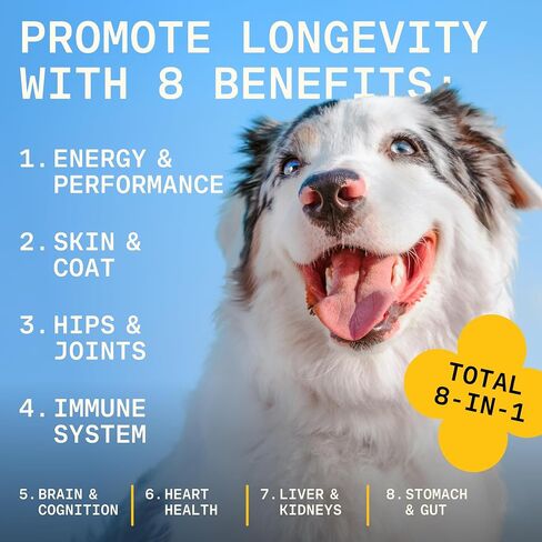 8-in-1 Dog Multivitamin-مسحوق مكملات مكمل طبيعي 100 ٪ مع اللبأ للبشرة الصحية والمفاصل والطاقة-مصنوع من أخصائي تغذية الكلاب Kayla Kowalski ، المصنوع في الولايات المتحدة الأمريكية-30 مغرفة in Saudi Arabia