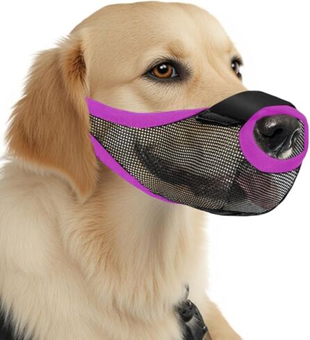 الكلب كمامة متوسطة الحجم الكلاب الحارس حارس الفم منع عض البوسل الناعم الشبكات المتوسطة لا يوجد لحاء لقمة تسخير قناع بلح البحر المضاد لبطاقة نباح الرعي muzzel الأكل الأكل مضغ in Kuwait