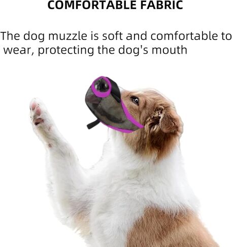 الكلب كمامة متوسطة الحجم الكلاب الحارس حارس الفم منع عض البوسل الناعم الشبكات المتوسطة لا يوجد لحاء لقمة تسخير قناع بلح البحر المضاد لبطاقة نباح الرعي muzzel الأكل الأكل مضغ in Kuwait