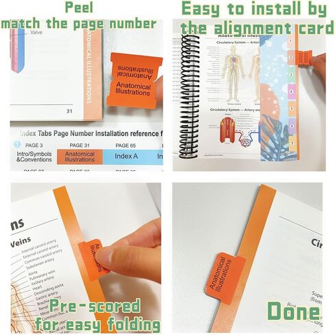 Index Tabs for AMA CPT Book, ICD-10 Code Book, HCPCS Level II Book, 3-Set Bundle 2025 Medical Coding Tabs,Color-Coded with Alignment Card&Page Sheet & Bookmark, Laminated Durable (Book Not Included) in Saudi Arabia