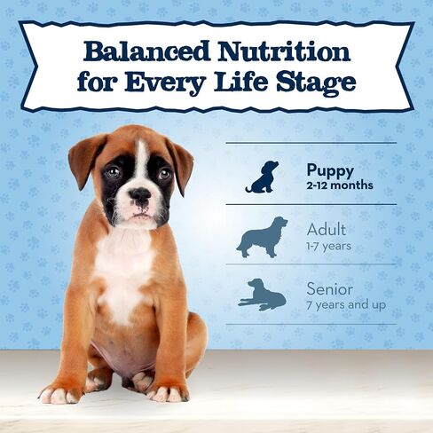 Blue Buffalo Baby Baby Natural Rit Food for Appies ، صيغة نمو صحي مع DHA ، وصفة تركيا والخضروات ، 12.5 أوقية. يستطيع in Saudi Arabia