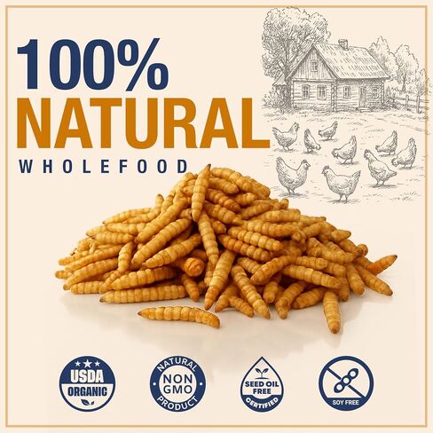USA Grown Black Soldier Fly Larvae for Chickens - 100% Natural Dried Worms, Grubs & Mealworms with 85X More Protein Chicken Treats for Laying Hens - Birds Feed Supplement for Ducks & Reptiles in Saudi Arabia