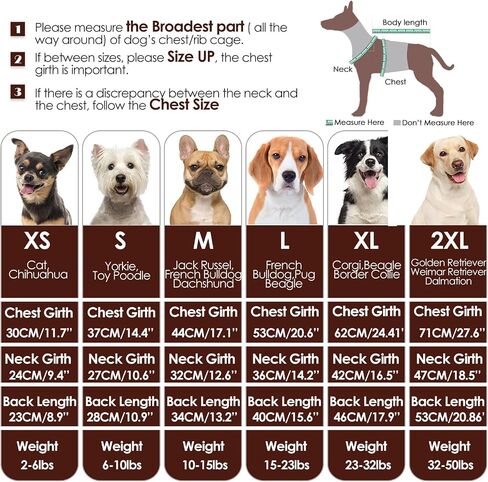 AOFITEE Dog Sweater, Medium Dog Sweater Girl Boy, Soft Turtleneck Pet Pullover for Winter Fall, Red Dogs Sweaters Dog Knitwear for Jack Russell, Mini Dachshund, Boston Terrier, Schnauzer, Brickred M in Saudi Arabia