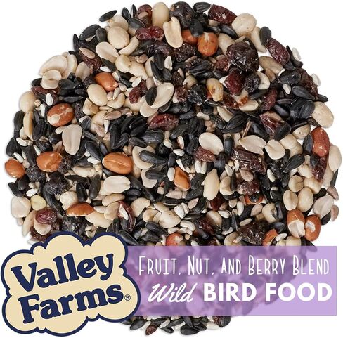 Valley Farms Fruit Nut & Berry 4 LB 2-Pack (8 LB Total) Wild Bird Food for Outside Feeders, Bird Seed with Dried Fruit, Peanuts Sunflower Hearts, Safflower High Energy Mix for Healthy Birds! in Saudi Arabia