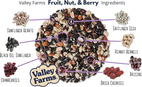 Valley Farms Fruit Nut & Berry 4 LB 2-Pack (8 LB Total) Wild Bird Food for Outside Feeders, Bird Seed with Dried Fruit, Peanuts Sunflower Hearts, Safflower High Energy Mix for Healthy Birds! in Saudi Arabia