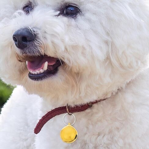 6pcs أجراس طوق الحيوانات الأليفة صوت هش للقطط والكلاب سحر قلادة عاكسة لسهولة إكسسوارات الرقبة الداخلية في الأماكن المغلقة in Kuwait