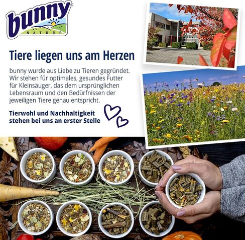 Dwarfhamsterdream خبير زهرة - طبق طبيعية طبيعية مع مزيج خاص من الزهور والحبوب والخضروات وديدان الوجبات - التغذية المتوازنة دون تقييد الكمية - 1.1 رطل in Saudi Arabia
