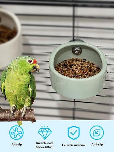 2PCS Birds Feeding Dish Cups Ceramic Bird Cage Food Bowls, Bird Cage Feeder Hanging Parrot Food Bowl for Budgie Finches Lovebirds Cockatiels (Green) in Kuwait