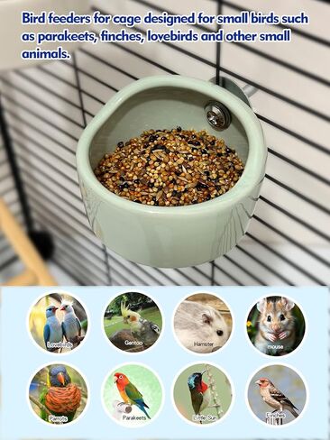 2PCS Birds Feeding Dish Cups Ceramic Bird Cage Food Bowls, Bird Cage Feeder Hanging Parrot Food Bowl for Budgie Finches Lovebirds Cockatiels (Green) in Kuwait