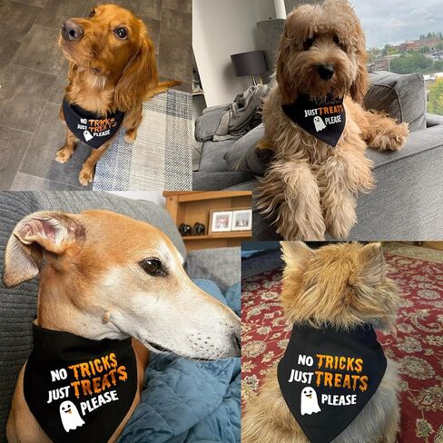 أزياء Bandanas الكلب في هالوين - لا حيل فقط - شعار مطبعية عطلات الحيوانات الأليفة Bandana Snap Button وشاح ، 30-75 رطل ، سلالة متوسطة وكبيرة in Kuwait