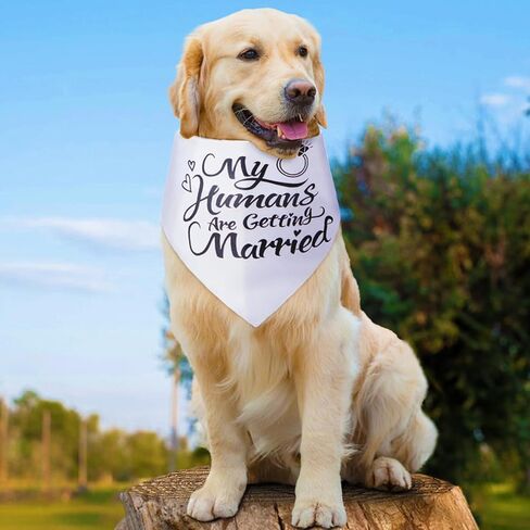 Wedding Dog Bandana, My Humans are Getting Married Dog Bandanas, Premium Dogs Wedding Outfit as an Engagement Gifts for Couples in Saudi Arabia