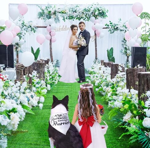 Wedding Dog Bandana, My Humans are Getting Married Dog Bandanas, Premium Dogs Wedding Outfit as an Engagement Gifts for Couples in Saudi Arabia