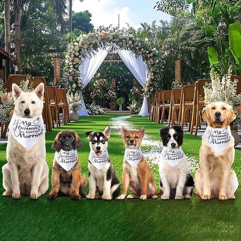 Wedding Dog Bandana, My Humans are Getting Married Dog Bandanas, Premium Dogs Wedding Outfit as an Engagement Gifts for Couples in Saudi Arabia