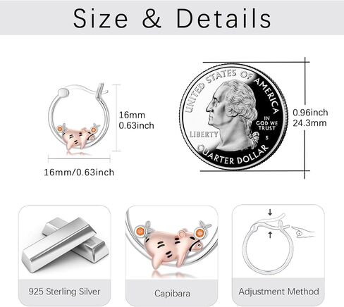 Dragon Earrings Sterling Silver Hoop Dragon Hoop Earrings Black Dragon Dangle Drop Earrings Viking Dragon Jewelry Gifts for Women Mother's Day, Sterling Silver, No Gemstone in Kuwait