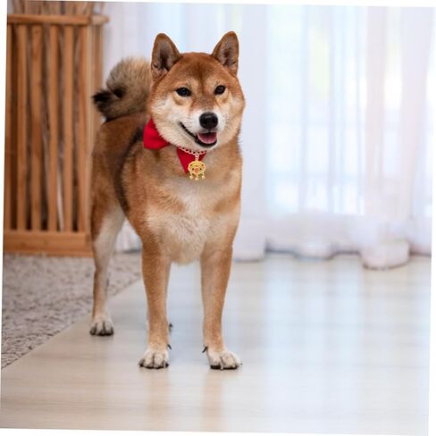 قلادة قفل طول العمر المعدني قابل للتعديل مع جرس للحيوانات الأليفة المجوهرات الأليفة المتينة للقطط والكلاب للمهرجانات والاحتفالات in Kuwait