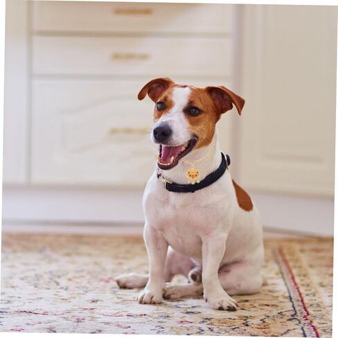 قلادة قفل طول العمر المعدني قابل للتعديل مع جرس للحيوانات الأليفة المجوهرات الأليفة المتينة للقطط والكلاب للمهرجانات والاحتفالات in Kuwait