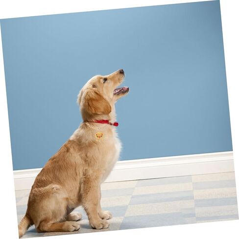 قلادة قفل طول العمر المعدني قابل للتعديل مع جرس للحيوانات الأليفة المجوهرات الأليفة المتينة للقطط والكلاب للمهرجانات والاحتفالات in Kuwait