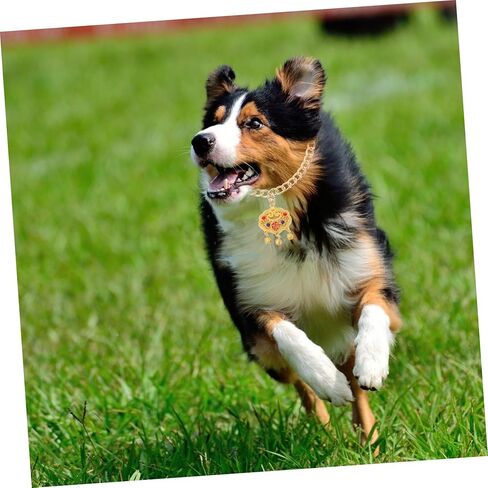 قلادة قفل طول العمر المعدني قابل للتعديل مع جرس للحيوانات الأليفة المجوهرات الأليفة المتينة للقطط والكلاب للمهرجانات والاحتفالات in Kuwait