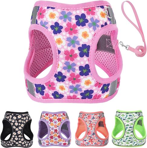 XXS Dog Harness and Leash Set ، خطوة في تسخير الكلب لا سحب للمشي التدريب الجري ، جرو أساسيات للكلاب Cat Bunny ، قابلة للتعديل عاكس الكلب سترة. (الوردي ، xxs) in Saudi Arabia
