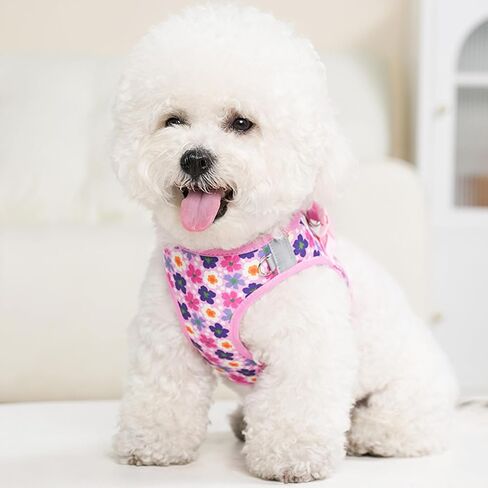 XXS Dog Harness and Leash Set ، خطوة في تسخير الكلب لا سحب للمشي التدريب الجري ، جرو أساسيات للكلاب Cat Bunny ، قابلة للتعديل عاكس الكلب سترة. (الوردي ، xxs) in Saudi Arabia