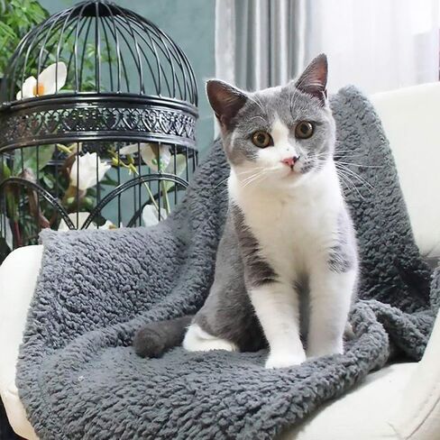Toyvian 2pcs Pet بطانية ناعمة دافئة نوم حصيرة للكلاب القطط خفيفة الوزن لحاف مريح وسادة وسادة مريحة لجميع الفصول in Saudi Arabia