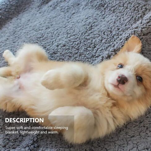Toyvian 2pcs Pet بطانية ناعمة دافئة نوم حصيرة للكلاب القطط خفيفة الوزن لحاف مريح وسادة وسادة مريحة لجميع الفصول in Saudi Arabia