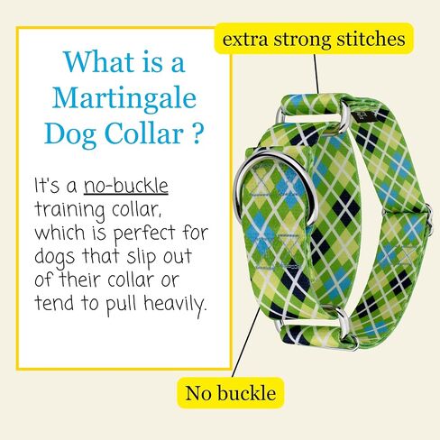 Country Brook Petz - Hossfit Jr Wide Martingale Dog Collar - مجموعة منقوشة و Argyle التي تضم تصاميم ساحرة (Buffalo Plaid ، Medium) in Saudi Arabia