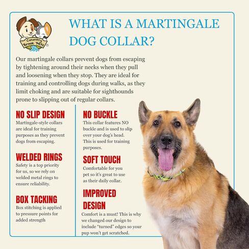 Country Brook Petz - Hossfit Jr Wide Martingale Dog Collar - مجموعة منقوشة و Argyle التي تضم تصاميم ساحرة (Buffalo Plaid ، Medium) in Saudi Arabia