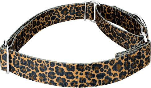 Country Brook Petz - Cheetah Martingale Dog Collar and Leash - Animal Prints Collection Phints Wild Designs (5/8 Inch ، Small) in Saudi Arabia
