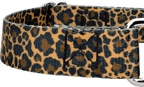 Country Brook Petz - Cheetah Martingale Dog Collar and Leash - Animal Prints Collection Phints Wild Designs (5/8 Inch ، Small) in Saudi Arabia