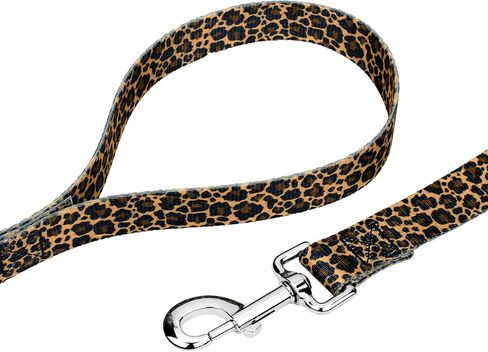 Country Brook Petz - Cheetah Martingale Dog Collar and Leash - Animal Prints Collection Phints Wild Designs (5/8 Inch ، Small) in Saudi Arabia