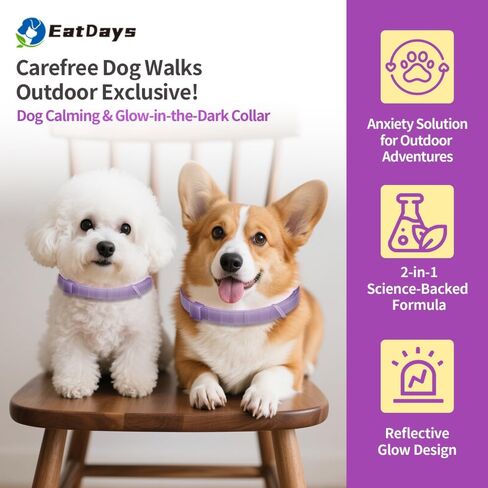 Fluorescent Calming Collar for Dogs and Cats with Pheromones - Maximum Anxiety Relief & Stress Reduction for Thunderstorms,Travel, Fireworks and Noise Phobias - Long Lasting 30 Days in Saudi Arabia