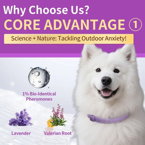 Fluorescent Calming Collar for Dogs and Cats with Pheromones - Maximum Anxiety Relief & Stress Reduction for Thunderstorms,Travel, Fireworks and Noise Phobias - Long Lasting 30 Days in Saudi Arabia