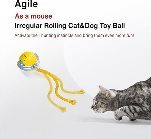 لعبة Cat Interactive - كرة تدحرجت الحركة مع مصابيح LED و 3 أوضاع لعب وذيلتين مختلفتين - أفضل لعبة للقطط والقطط الداخلية للبقاء نشطًا وتحفيز غريزة الصيد (أصفر) in Saudi Arabia