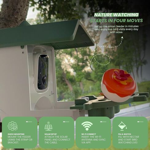 مغذي الطيور الذكي مع الكاميرا تعمل بالطاقة الشمسية ، 2K HD Camera Cameras مع AI التعرف على 11000+ الطيور ، والرؤية الليلية المزدوجة الشمسية in Saudi Arabia