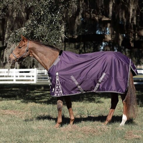 Equinavia Norse 200g Medium Weight Horse Blanket | Waterproof Winter Turnout - Black - 66 in - Black - 81 in in Saudi Arabia