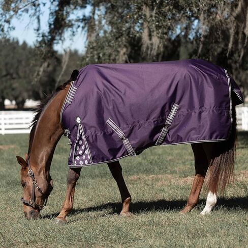 Equinavia Norse 200g Medium Weight Horse Blanket | Waterproof Winter Turnout - Black - 66 in - Black - 81 in in Saudi Arabia