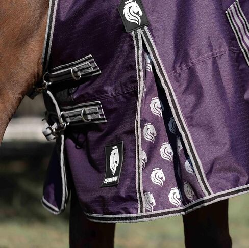 Equinavia Norse 200g Medium Weight Horse Blanket | Waterproof Winter Turnout - Black - 66 in - Black - 81 in in Saudi Arabia