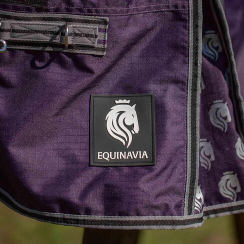 Equinavia Norse 200g Medium Weight Horse Blanket | Waterproof Winter Turnout - Black - 66 in - Black - 81 in in Saudi Arabia